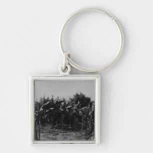 Bananodling, Trinidad, c.1891 Fyrkantig Silverfärgad Nyckelring