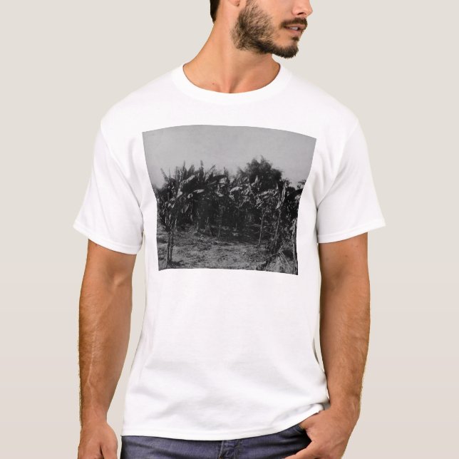 Bananodling, Trinidad, c.1891 T-shirt (Framsida)