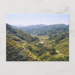 Banaue Ris Terraces Vykort