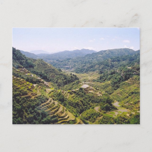 Banaue Ris Terraces Vykort (Framsida)