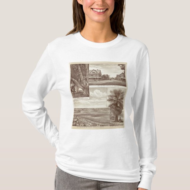 Banbrytande landCo-område, Porterville Tröja (Framsida)