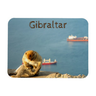 Band från Gibraltar Barbary Magnet