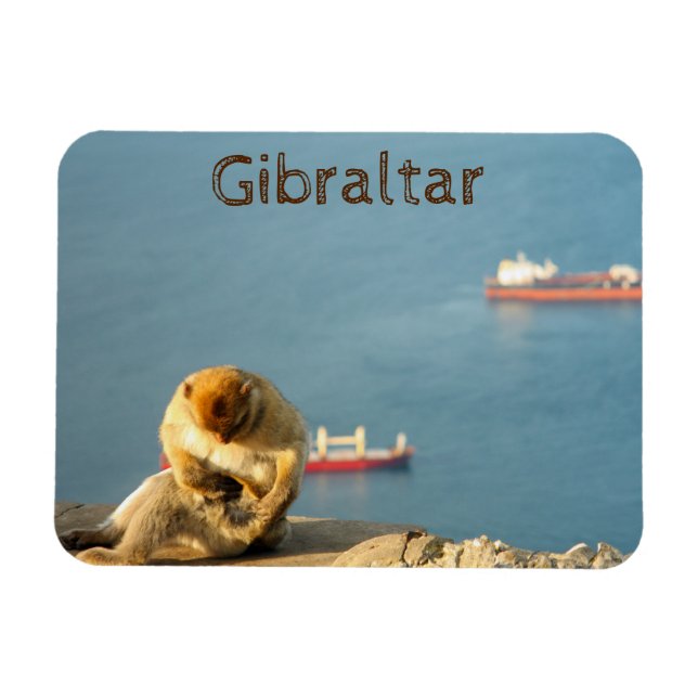 Band från Gibraltar Barbary Magnet (Horisontell)