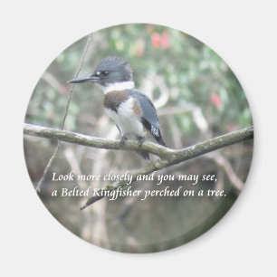 Band Kingfisher magnet