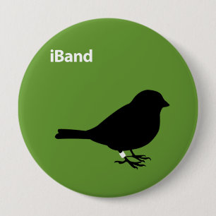 Band Knapp