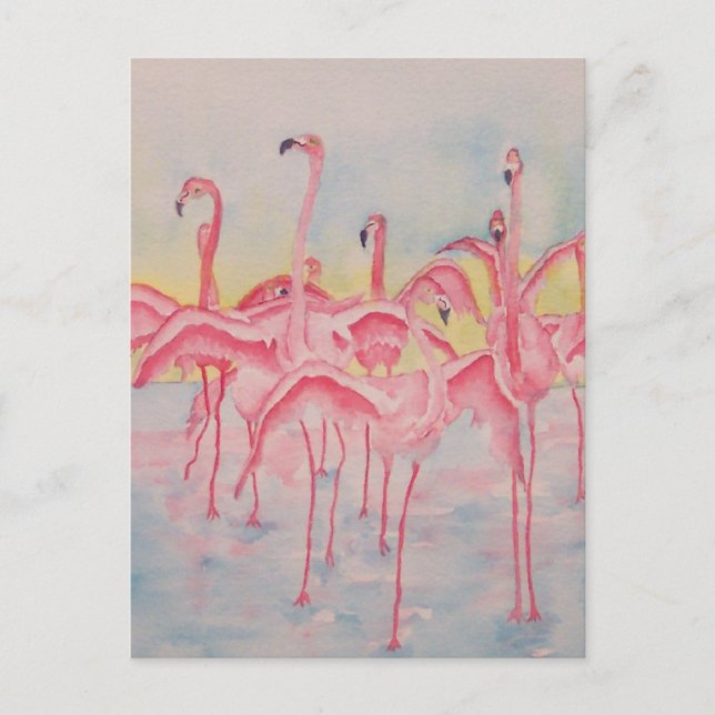 BAND PÅ POSTCARD SPRINGA VYKORT (Framsida)