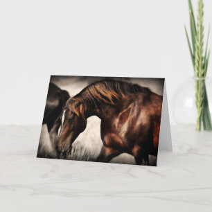 Band Stallion Greeting Card Kort