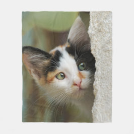 Bändande upp ögon för gullig nyfiken kattunge som fleecefilt