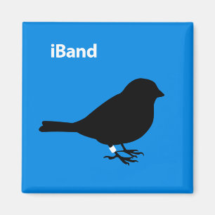 Bandblå Magnet