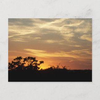Bandera Texas Sunset Postcard Vykort