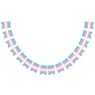 Banderoll för Transgender pride flagga