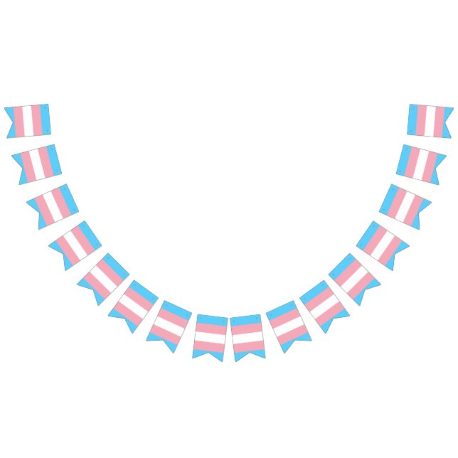 Banderoll för Transgender pride flagga (Alla)
