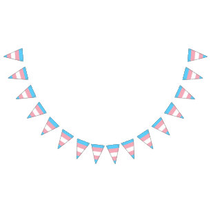 Banderoll för Transgender pride flagga