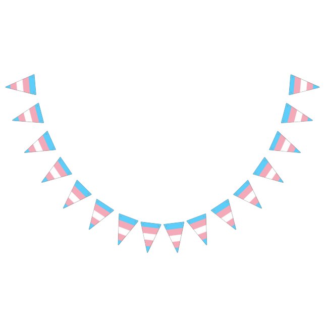 Banderoll för Transgender pride flagga (Alla)