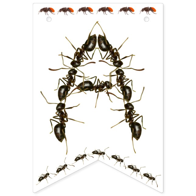 Banderollen Grattis på födelsedagen Kryp Vimplar (Tredje flaggan)