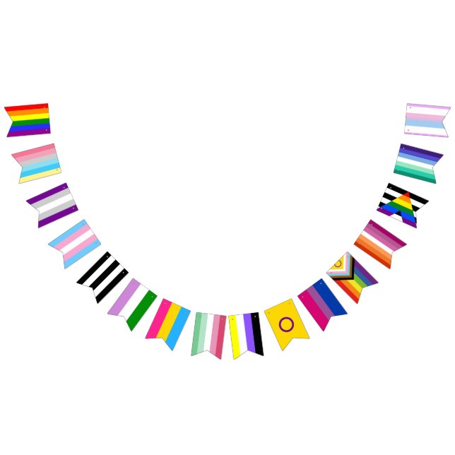 Banderollen Party för Pridet för HBT-medlemmar Vimplar (Alla)