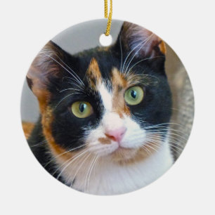 Bandit Calico Cat Ceramic Ornament