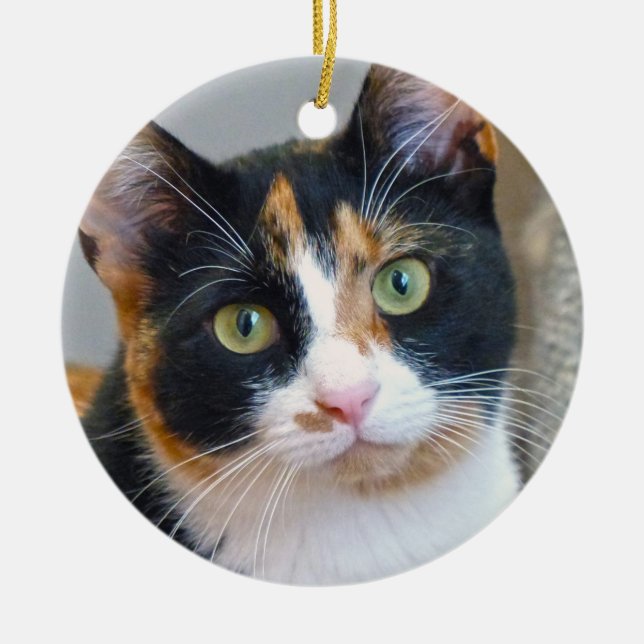 Bandit Calico Cat Ceramic Ornament (Framsidan)