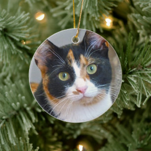 Bandit Calico Cat Julgransprydnad Keramik
