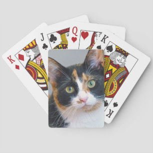 Bandit Casinokort