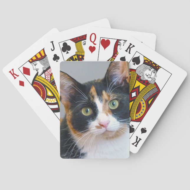 Bandit Casinokort (Baksidan)