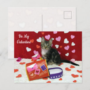Bandit Cat's Valentine Mailbox Postcard Helg Vykort