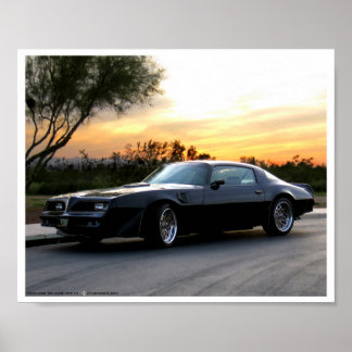Bandit i Arizona Sunset Poster