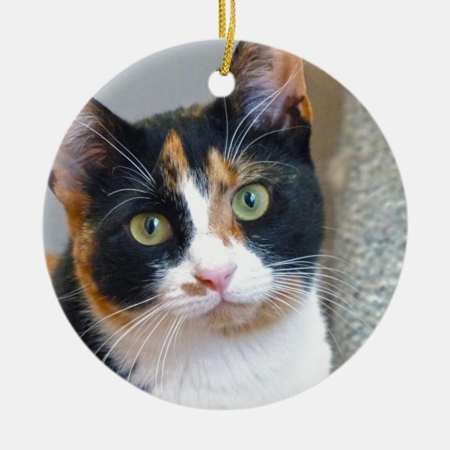 Bandit Julgransprydnad Keramik (Framsidan)