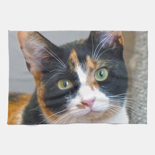 Bandit Kökshandduk (Horisontell)