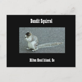 Bandit Squirrel Vykort
