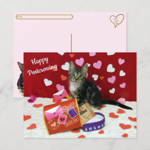 Bandit the Cat's Postcross Valentine's Postcard Vykort