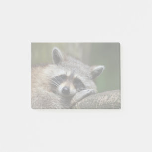 Banditen på vilar den gulliga raccoonen post-it block