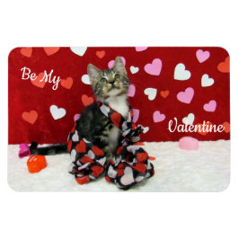 Bandit's Best Dsed Valentine's Cat / Kitten Magnet
