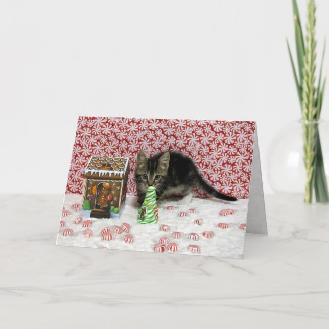 Bandit's Candy-jul - Katt/Kattkort Helgkort (Framsida)