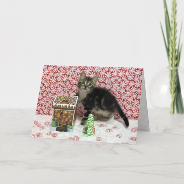 Bandit's Gingerbröd - Katt/Kattjullkort Helgkort (Framsida)