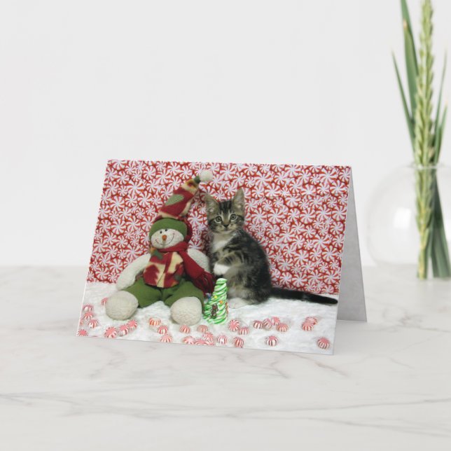 Bandit's jul Porträtt - Katt/Kitten Helgkort (Framsida)