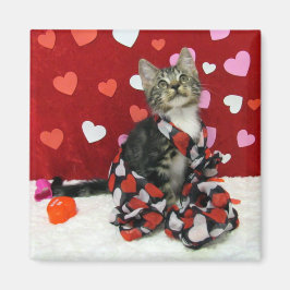 Bandit's Kärlek - Katt/Kitten Magnet for Valentine