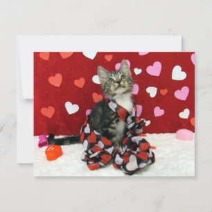 Bandit's Kärlek Valentine - Cat / Kitten - Flat Ca Julkort
