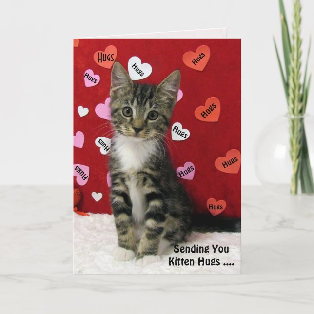 Bandit's Kitten Hugs Card (3335) Kort (Framsida)