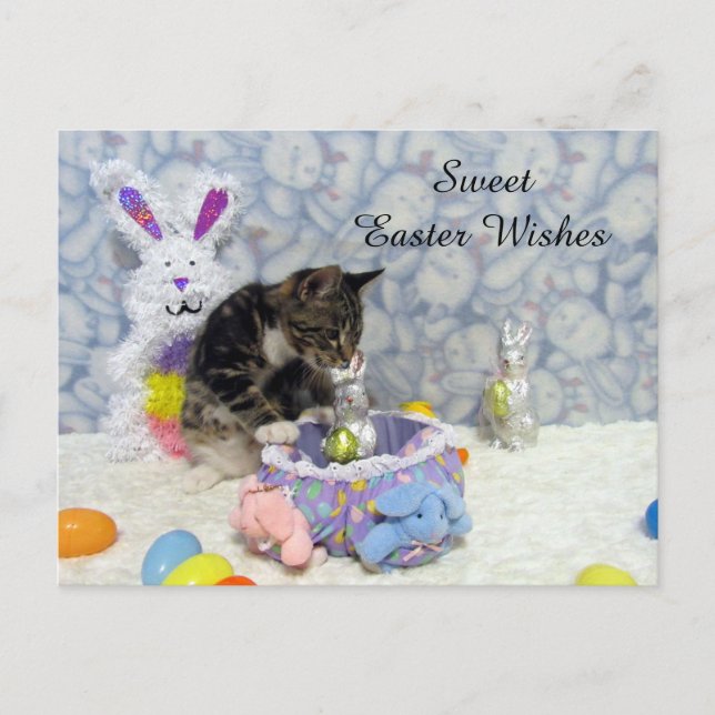 Bandit's Påsk USA Postcard (3421) Helg Vykort (Framsida)