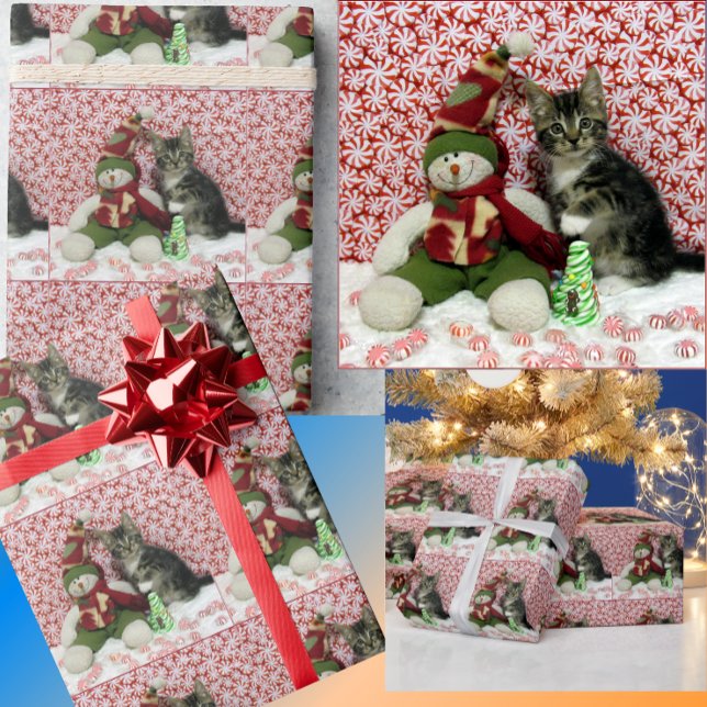 Bandit's Snögubbe jul - Cat Wrapping Papper Presentpapper (Skapare uppladdad)