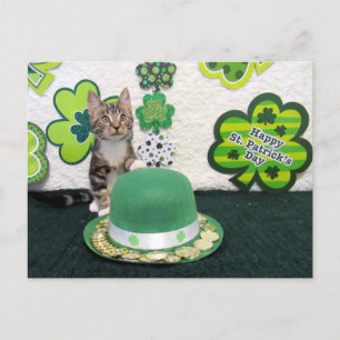 Bandit's St. Patrick's Day Cat / Kitten Postcard Vykort