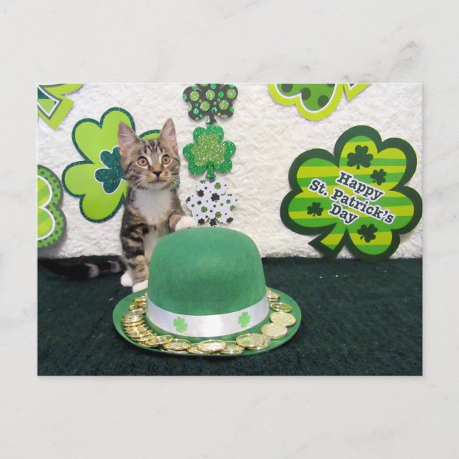 Bandit's St. Patrick's Day Cat / Kitten Postcard Vykort (Framsida)