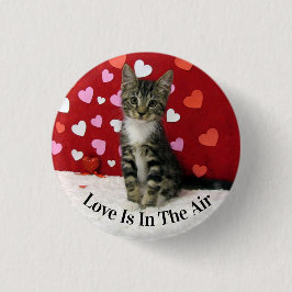 Bandit's Valentine Day Button - Cute Cat Knapp