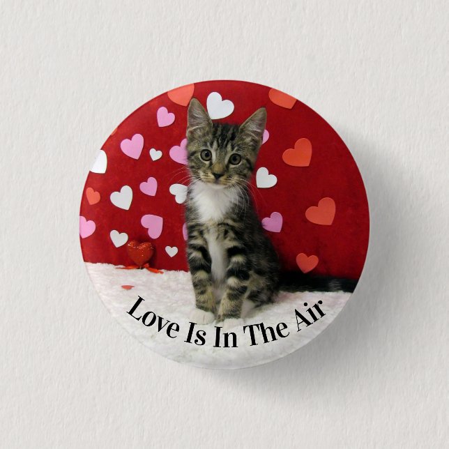 Bandit's Valentine Day Button - Cute Cat Knapp (Framsida)