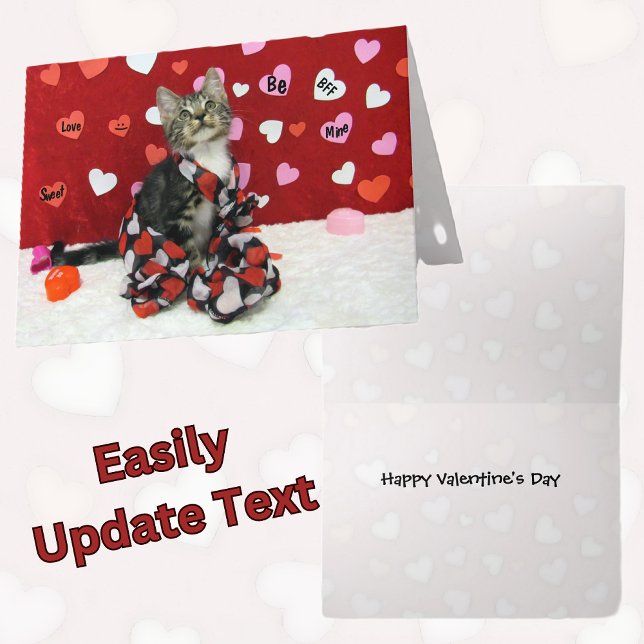 Bandit's Valentine's Card - Katt / Kitten Helgkort (Skapare uppladdad)