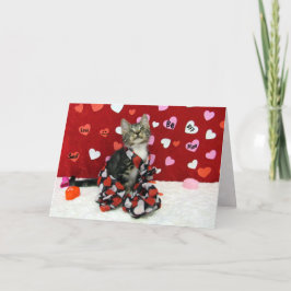 Bandit's Valentine's Card - Katt / Kitten Helgkort