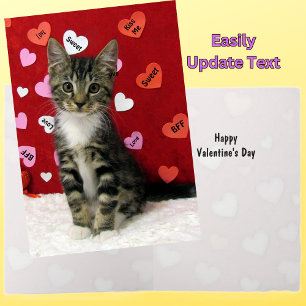 Bandit's Valentine's - Cat/Kitten Valentine Card Helgkort