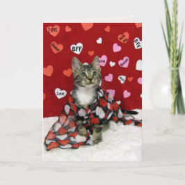 Bandit's Valentine's - Cat / Kitten Valentine's Helgkort