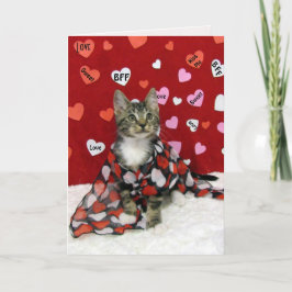 Bandit's Valentine's - Cat / Kitten Valentine's Helgkort
